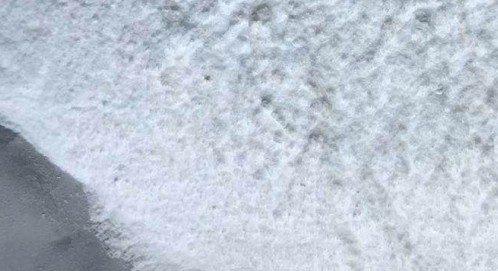 Antioxidant Relysorb®1010